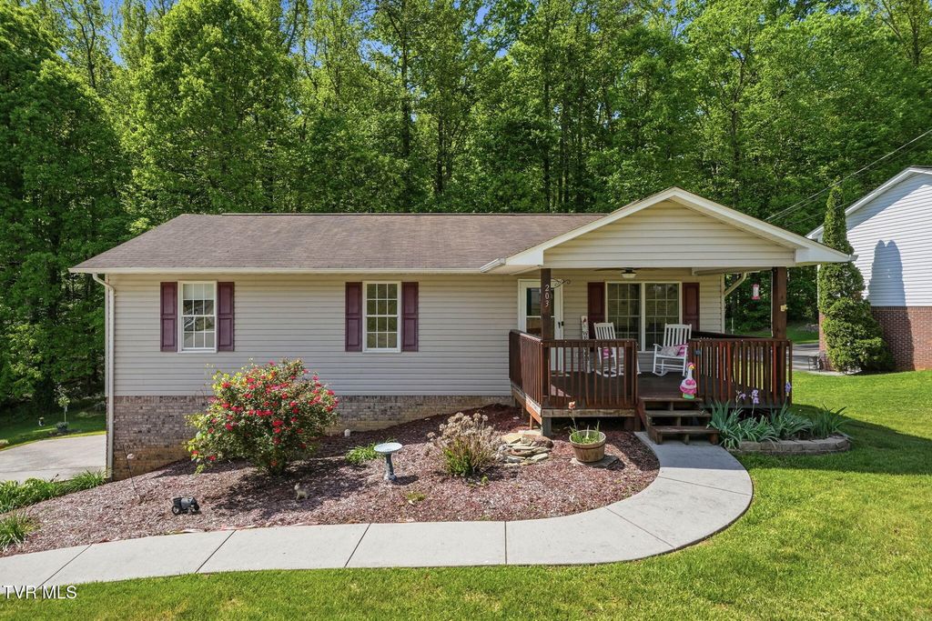 203 Valley Crest Drive, Mount Carmel, TN 37645