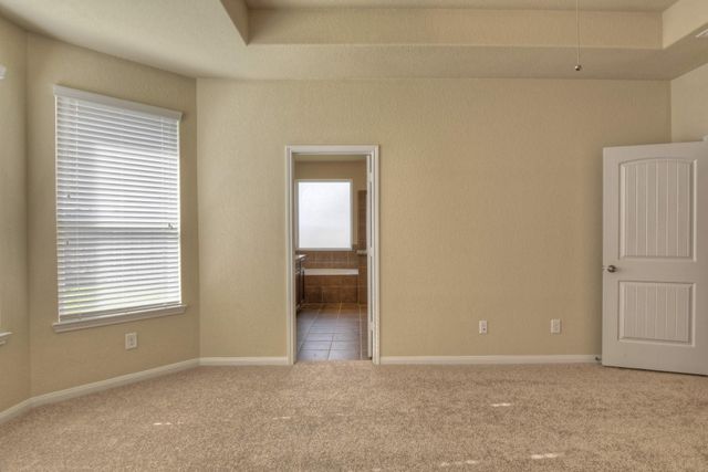 21231 Flowering Dogwood Circle, Porter, TX 77365