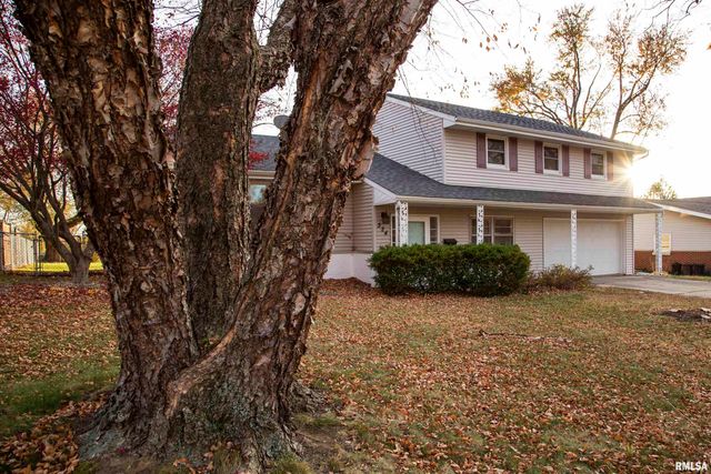 324 W IVY Lane, Peoria, IL 61614