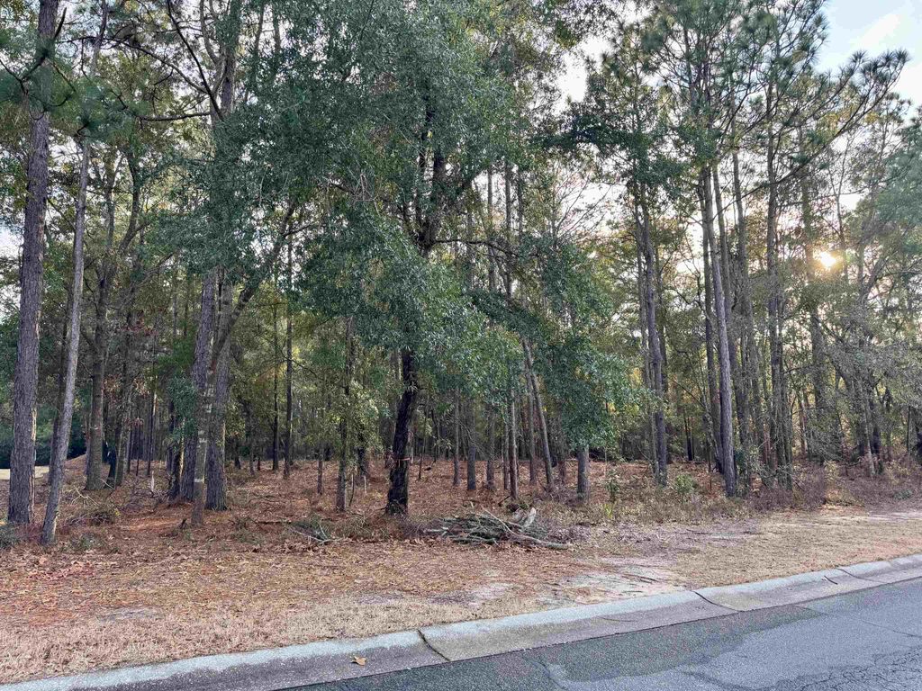 Lot 63 Preservation Circle, Pawleys Island, SC 29585