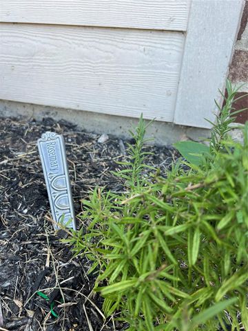 125 Long Canyon Lane, Richmond, TX 77469