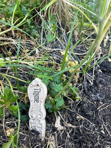 125 Long Canyon Lane, Richmond, TX 77469