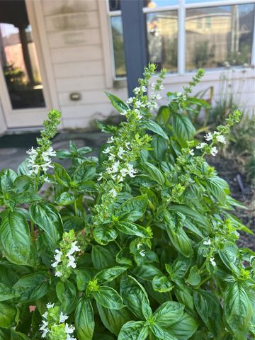 125 Long Canyon Lane, Richmond, TX 77469