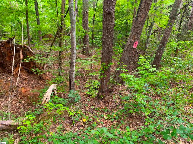 341 E Church Road, Easley, SC 29642