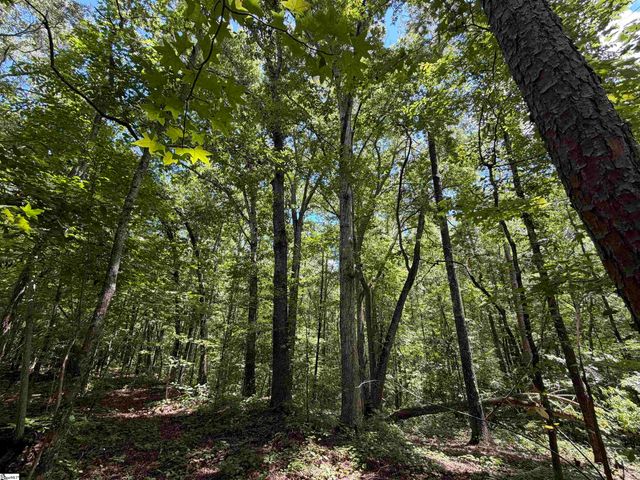 341 E Church Road, Easley, SC 29642