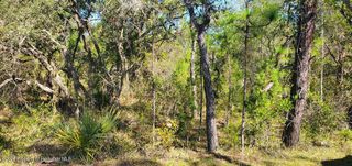 Lot 56 Michigan Avenue, Weeki Wachee, FL 34613