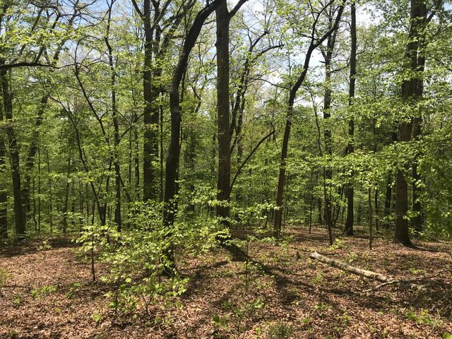 Lot 40 Anchor Way, Jamestown, KY 42629