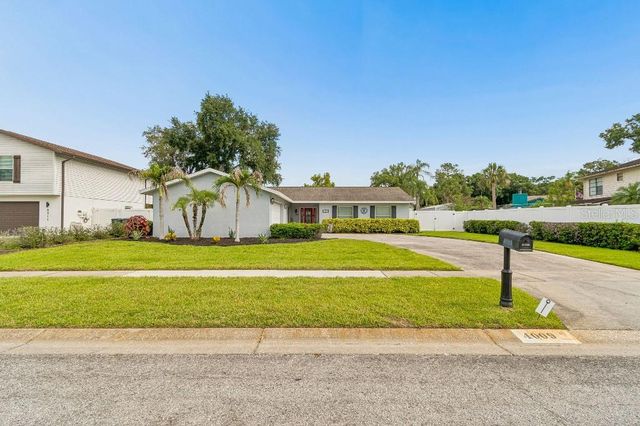 4009 MOUNTAIN SPRINGS LANE, Tampa, FL 33624