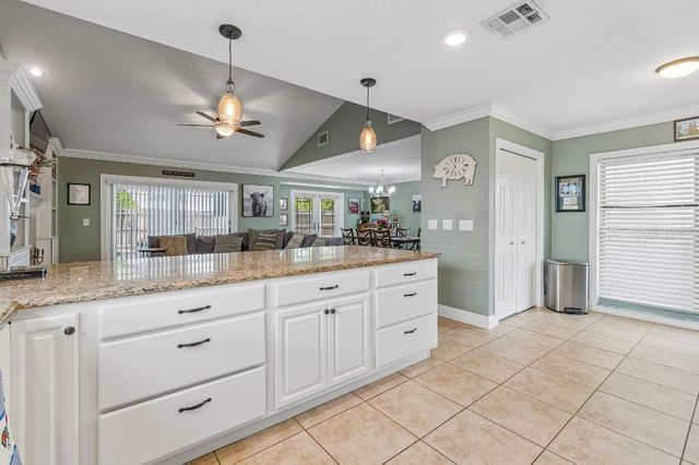 4009 MOUNTAIN SPRINGS LANE, Tampa, FL 33624