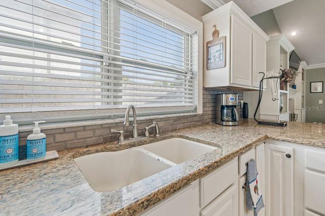 4009 MOUNTAIN SPRINGS LANE, Tampa, FL 33624