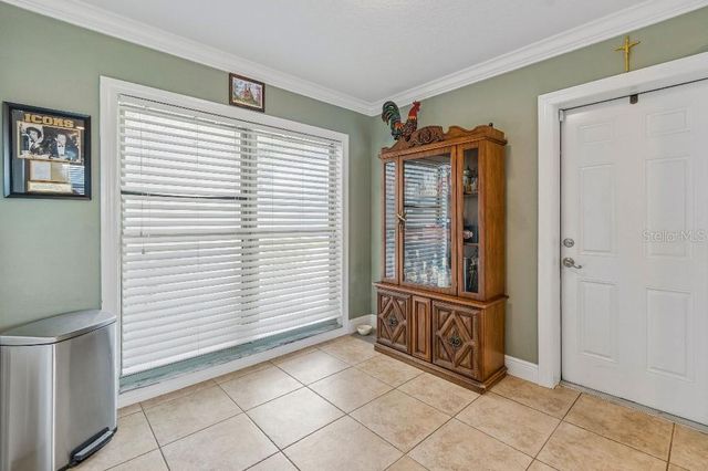 4009 MOUNTAIN SPRINGS LANE, Tampa, FL 33624