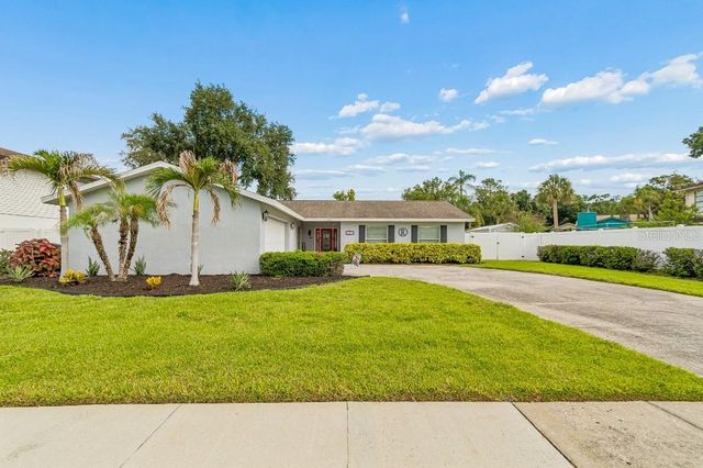 4009 MOUNTAIN SPRINGS LANE, Tampa, FL 33624
