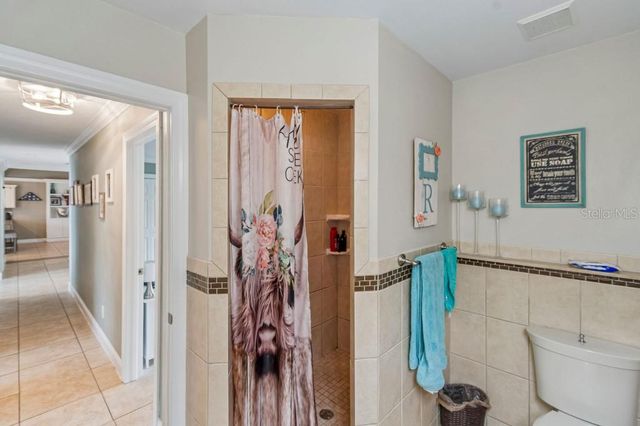 4009 MOUNTAIN SPRINGS LANE, Tampa, FL 33624