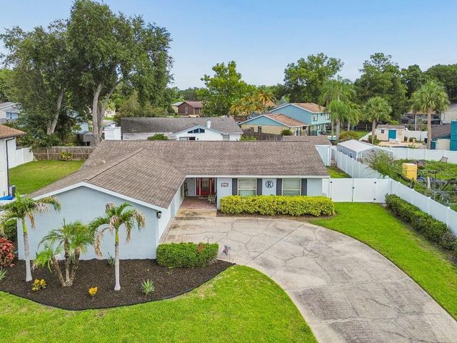 4009 MOUNTAIN SPRINGS LANE, Tampa, FL 33624
