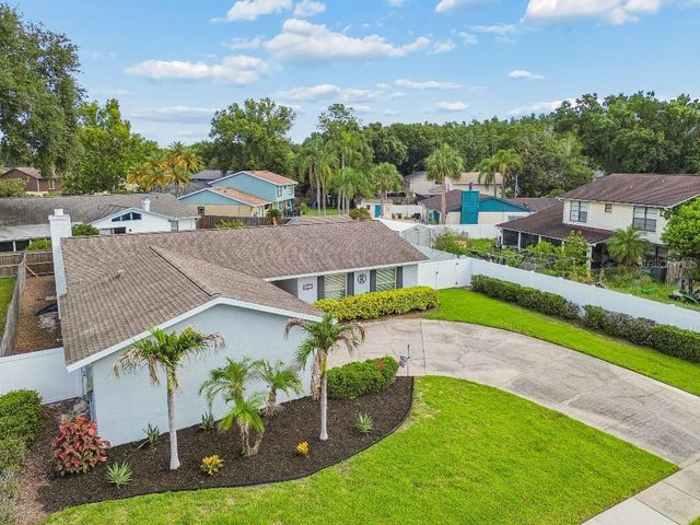 4009 MOUNTAIN SPRINGS LANE, Tampa, FL 33624