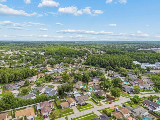 4009 MOUNTAIN SPRINGS LANE, Tampa, FL 33624