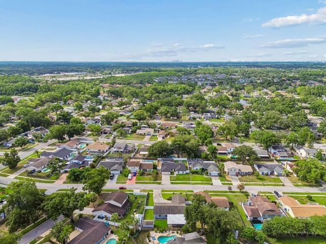 4009 MOUNTAIN SPRINGS LANE, Tampa, FL 33624