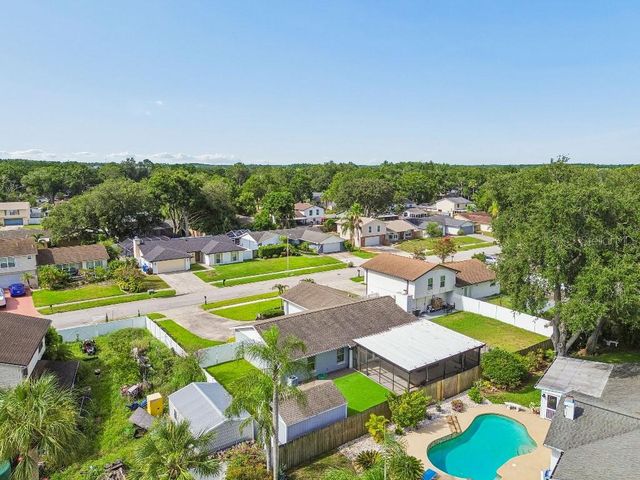 4009 MOUNTAIN SPRINGS LANE, Tampa, FL 33624