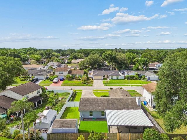 4009 MOUNTAIN SPRINGS LANE, Tampa, FL 33624