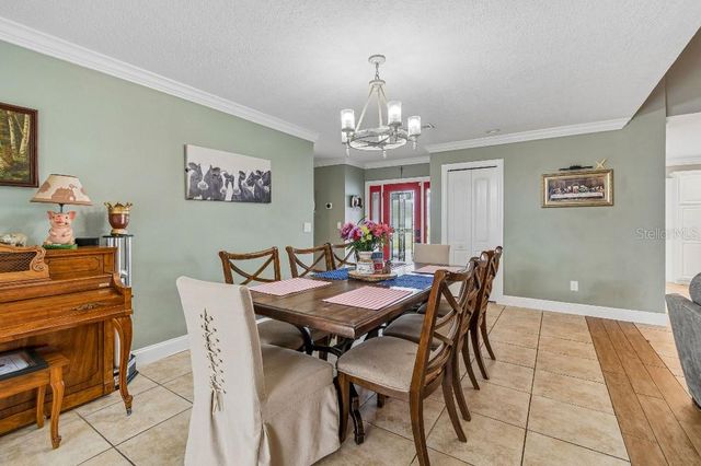 4009 MOUNTAIN SPRINGS LANE, Tampa, FL 33624