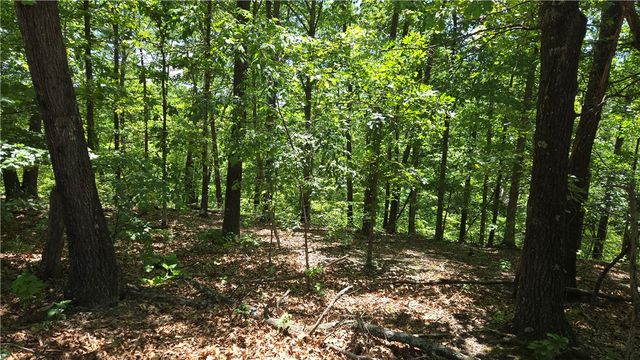 Tummell Drive, Bella Vista, AR 72715