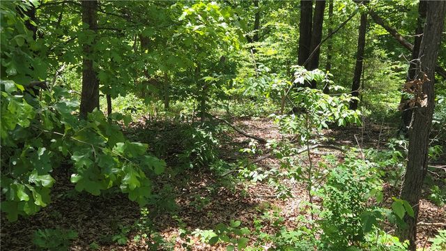 Tummell Drive, Bella Vista, AR 72715