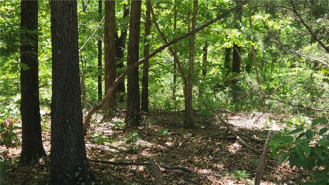 Tummell Drive, Bella Vista, AR 72715