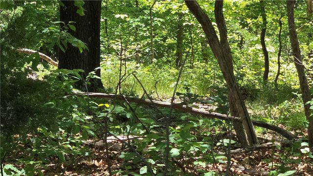 Tummell Drive, Bella Vista, AR 72715