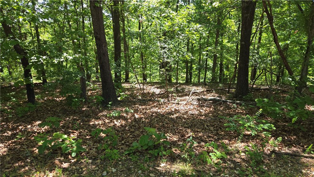 Tummell Drive, Bella Vista, AR 72715