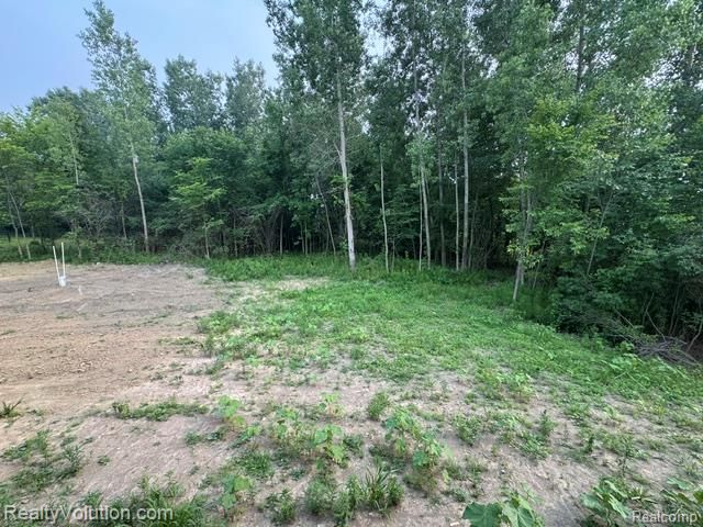 7260 Newark Road, Imlay Township, MI 48444
