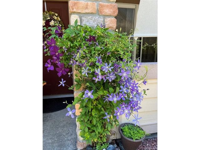 22960 E Roxbury Dr F, Aurora, CO 80016