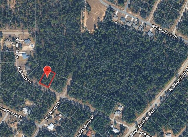 8689 N RONDA DRIVE, Citrus Springs, FL 34433