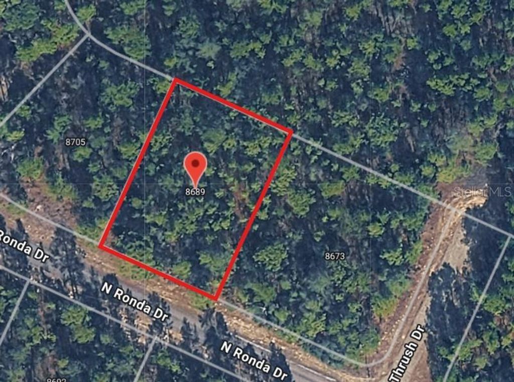 8689 N RONDA DRIVE, Citrus Springs, FL 34433