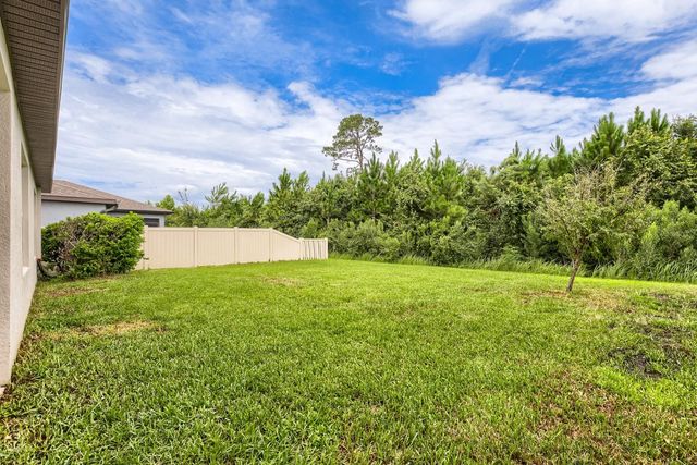 30169 MERILEE PLACE, Wesley Chapel, FL 33545