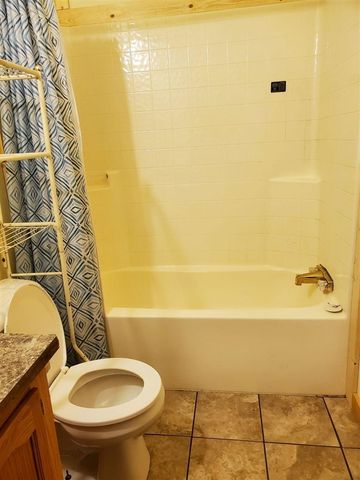 9113 N Kaderabek Trail, Irons, MI 49644