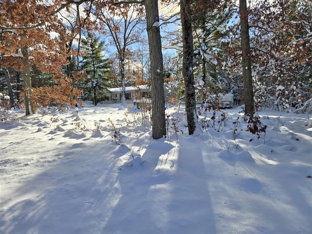 9113 N Kaderabek Trail, Irons, MI 49644