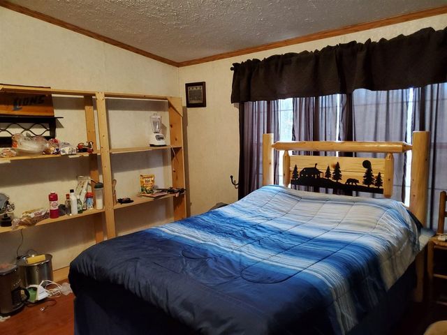 9113 N Kaderabek Trail, Irons, MI 49644