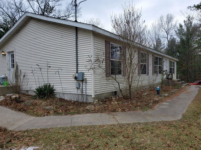 9113 N Kaderabek Trail, Irons, MI 49644