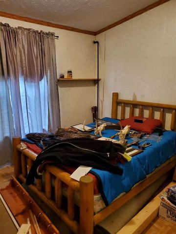 9113 N Kaderabek Trail, Irons, MI 49644