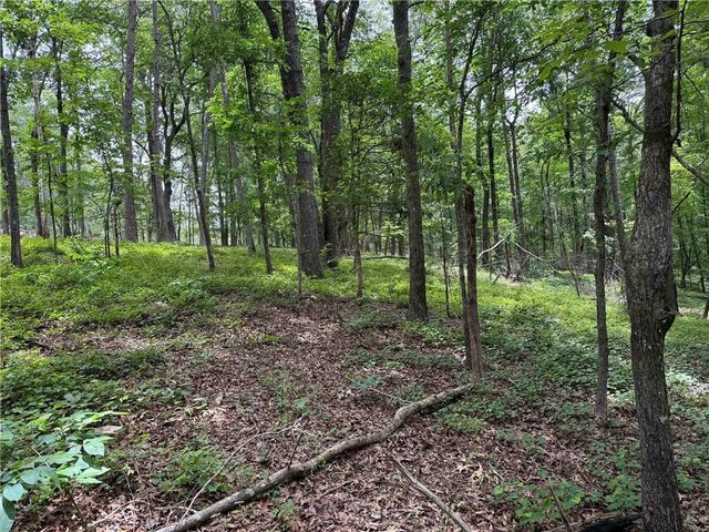 17 Norton Trail, Dahlonega, GA 30533