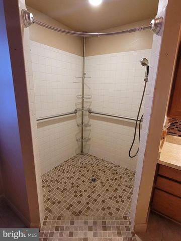 111 CLYDE AVE, Fruitland, MD 21826