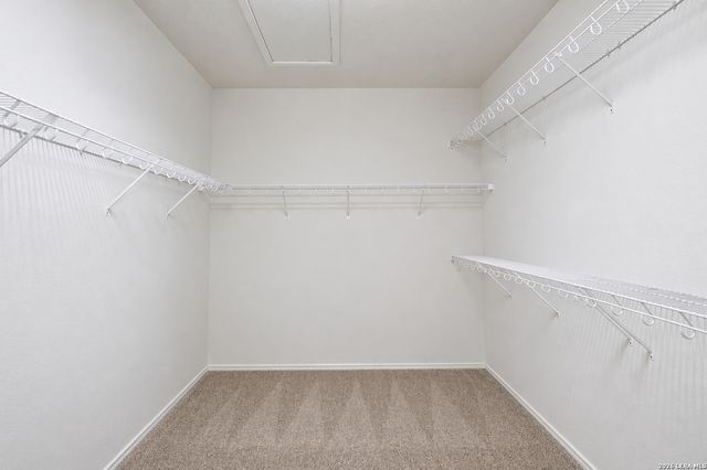 4719 Emden Hollow, San Antonio, TX 78247