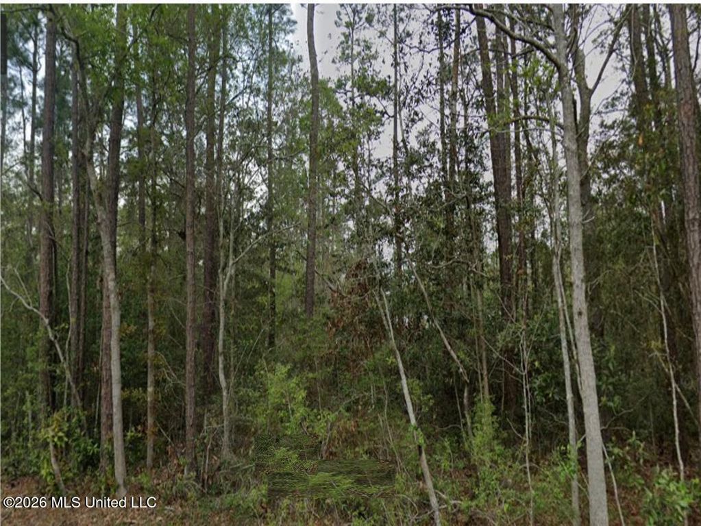 Erie Street, Bay Saint Louis, MS 39520