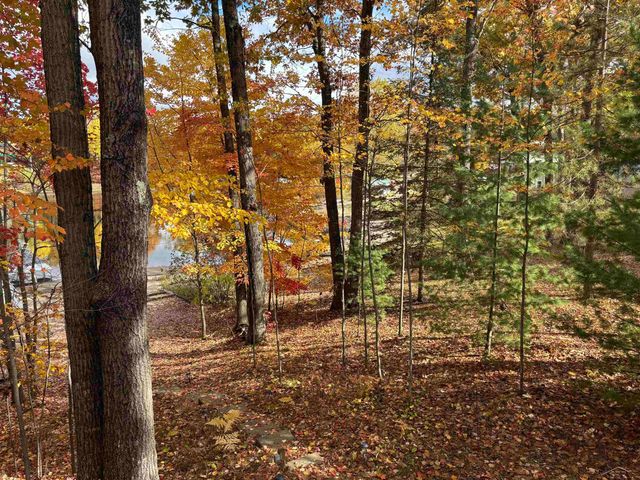 7620 Beech Street, Laird Twp, MI 48632