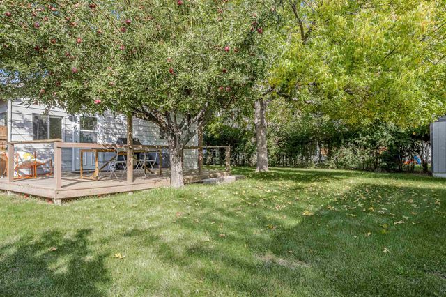 170 S Apple Street, Fruita, CO 81521