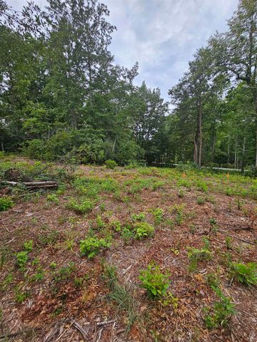 1142 Belue Mill Road, Landrum, SC 29356