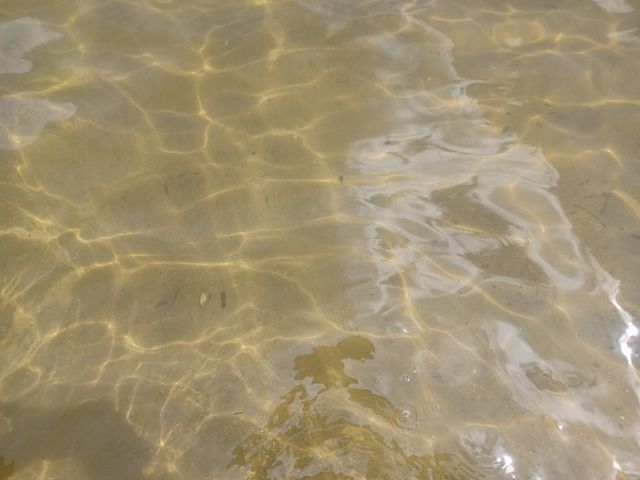 6812 Lake Drive, Hastings, MI 49058