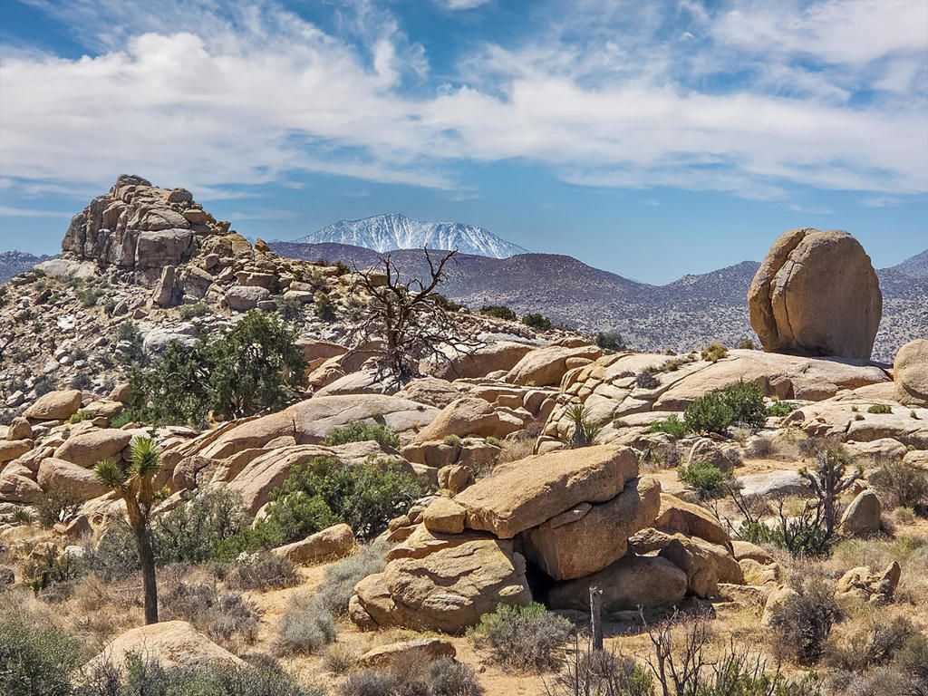 101 Hondo Street, Pioneertown, CA 92268