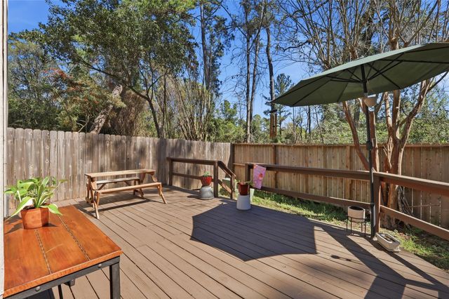 151 Anise Tree Place, The Woodlands, TX 77382