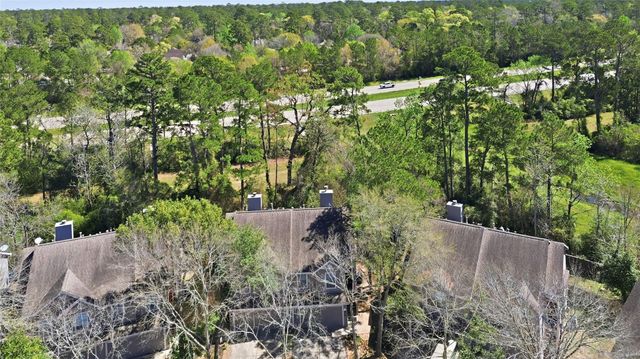 151 Anise Tree Place, The Woodlands, TX 77382